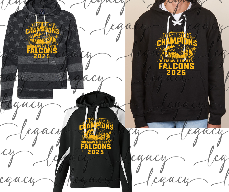 2025 Falcon Football DISTRICT CHAMPS Specialty Hoodie Options
