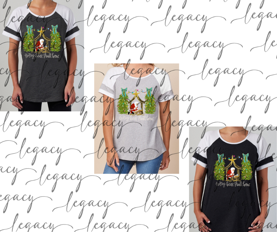 every knee shall bow Colorblock Women's Tee Multi Color Options Holiday Magic